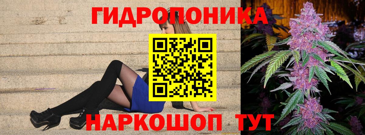 Бошки марихуана THC 21% Буйнакск